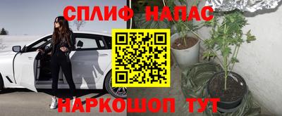PSILOCYBIN Лесосибирск