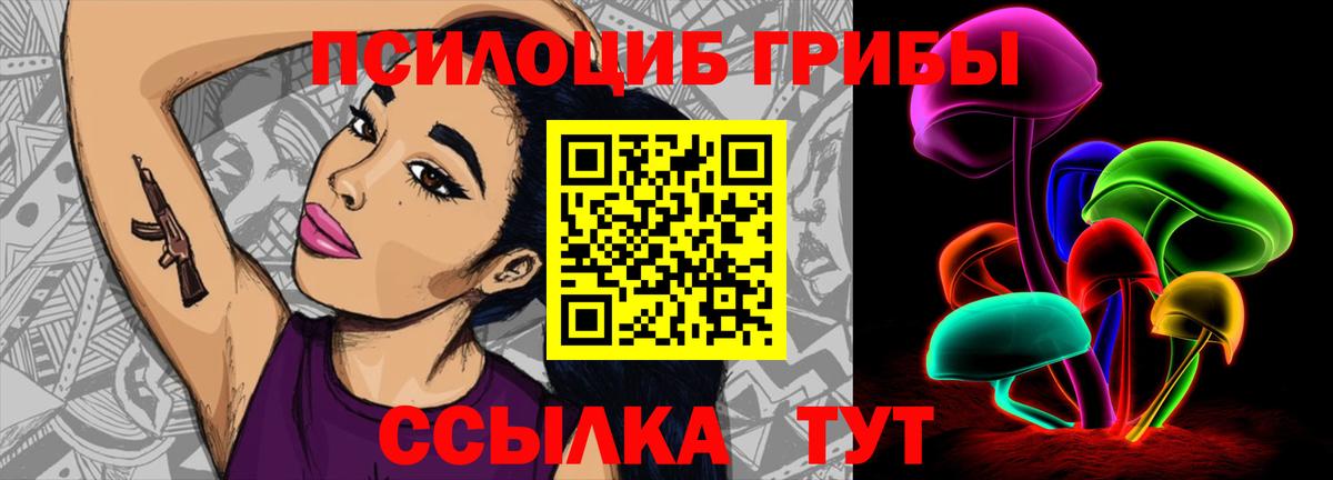 Галлюциногенные грибы прущие грибы  Вход с VPN  Вязники  Псилоцибиновые грибы Cubensis 